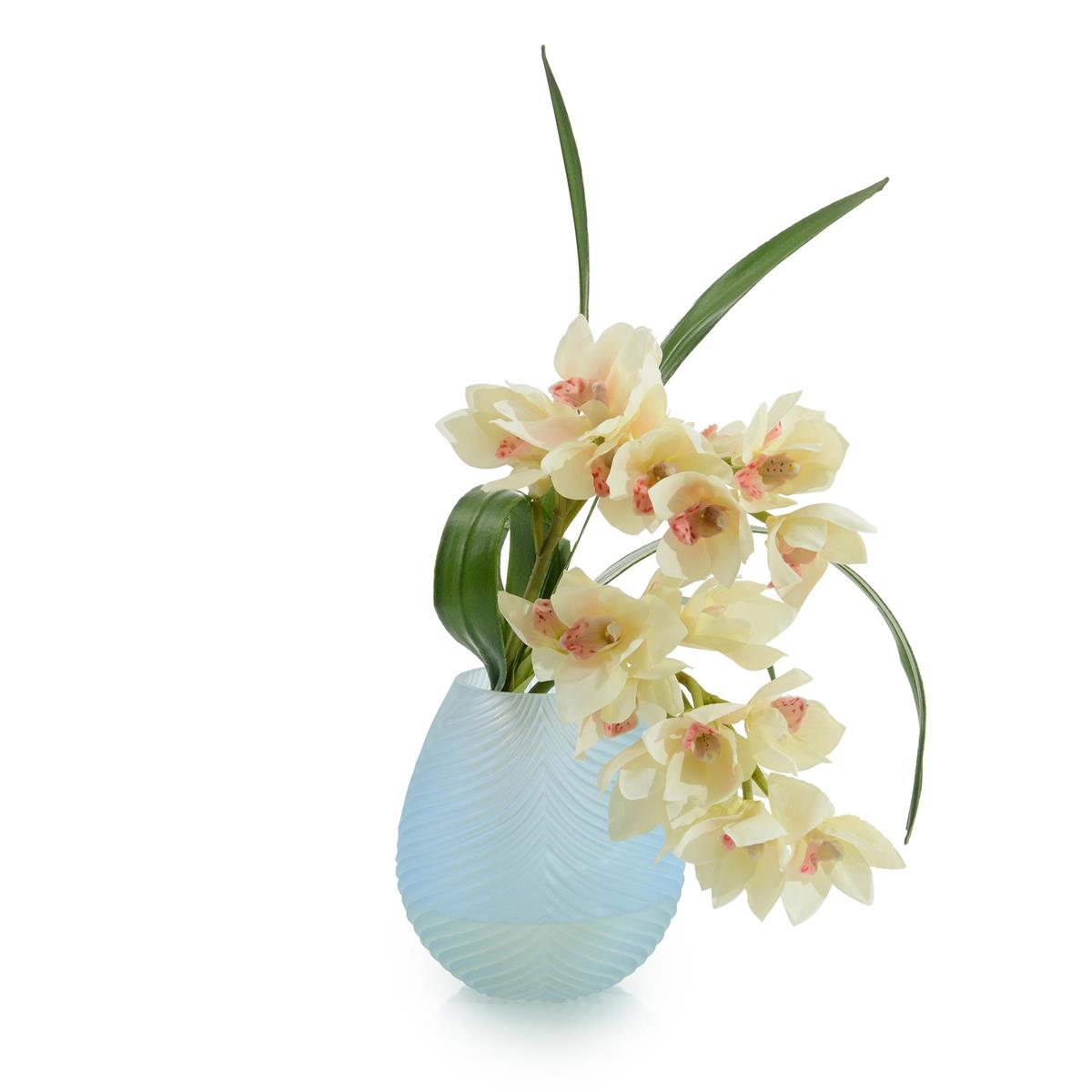 John Richard, Blushing Blue Cymbidium