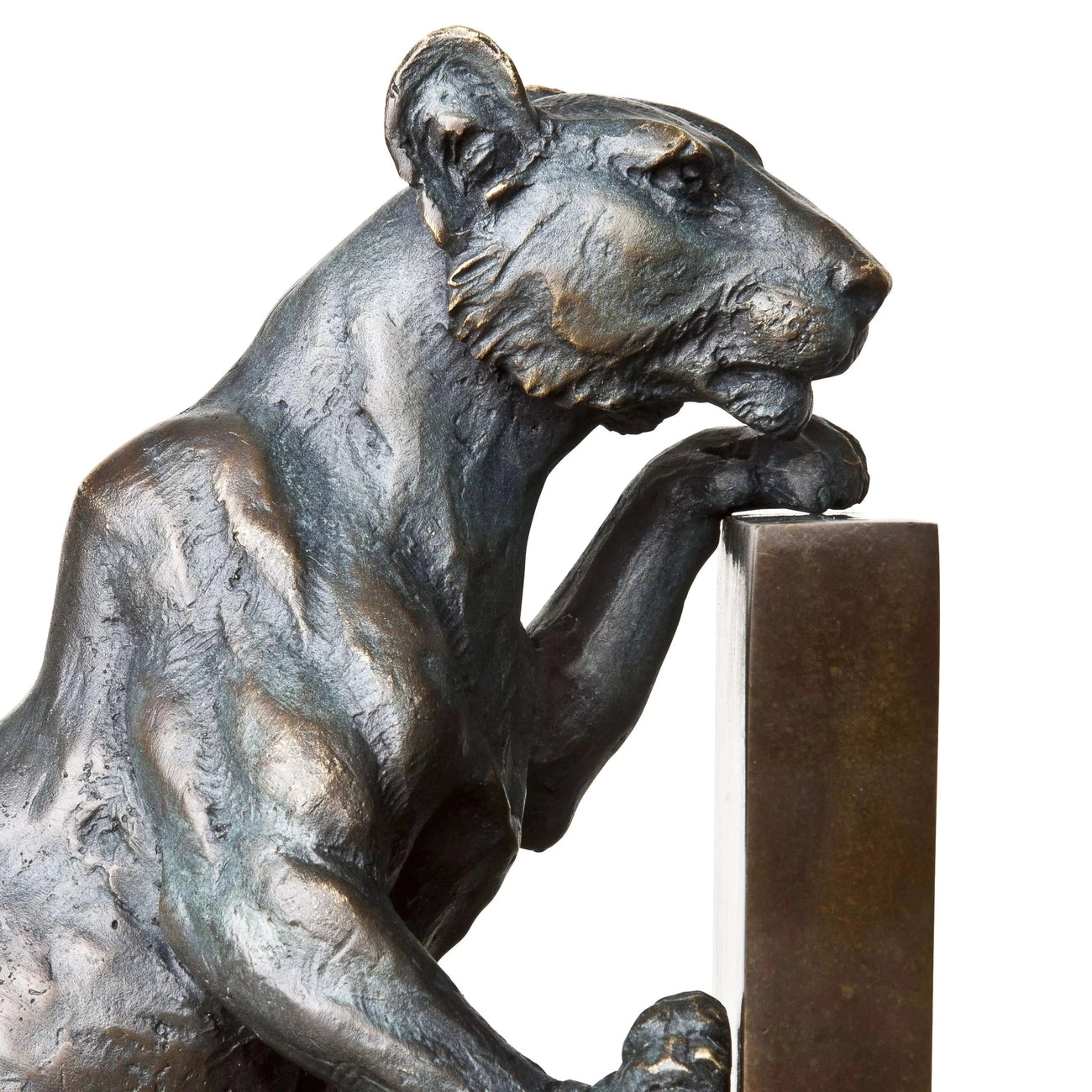 Eichholtz, Bookend Lioness Set Of 2