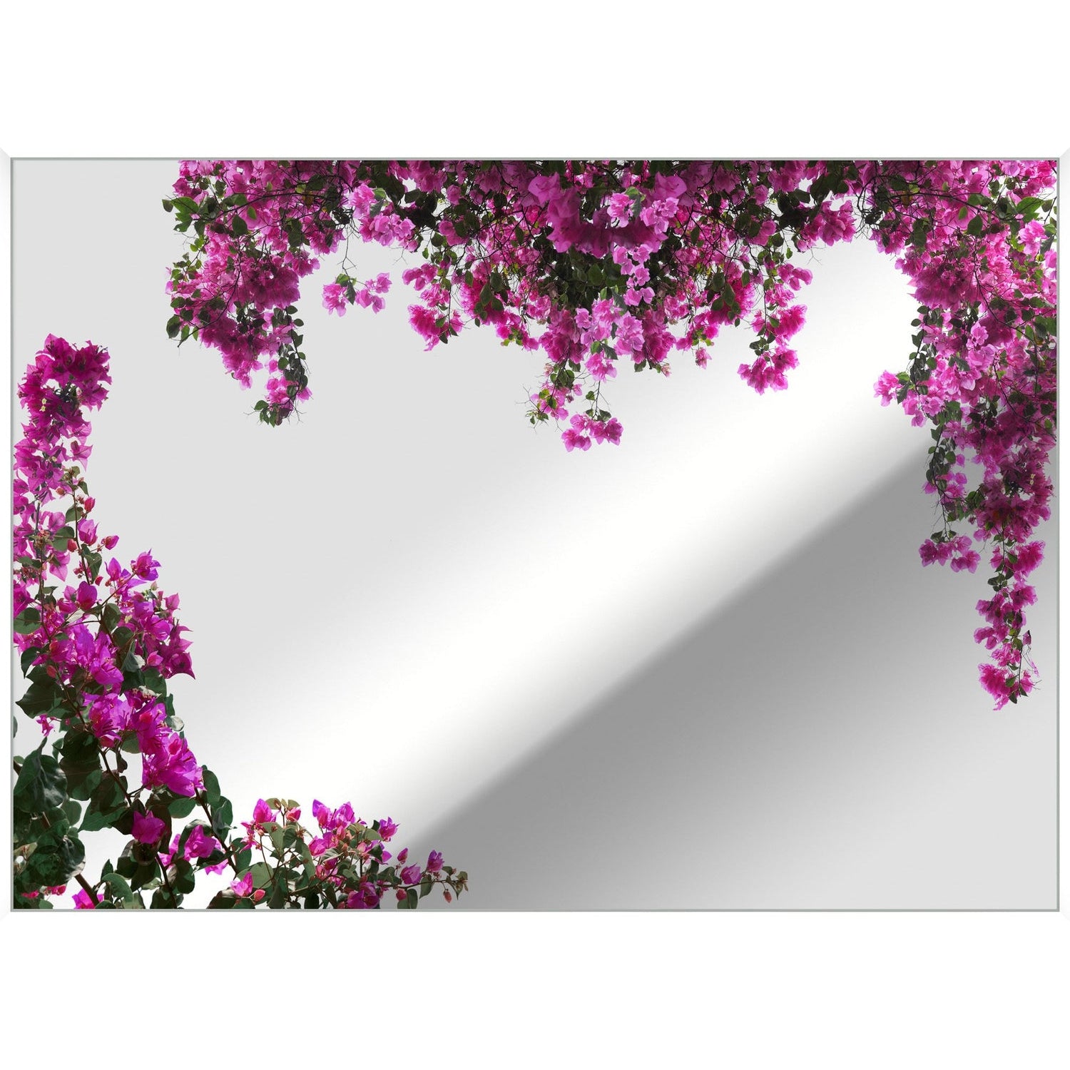 Wendover, Bougainvillea Mirror