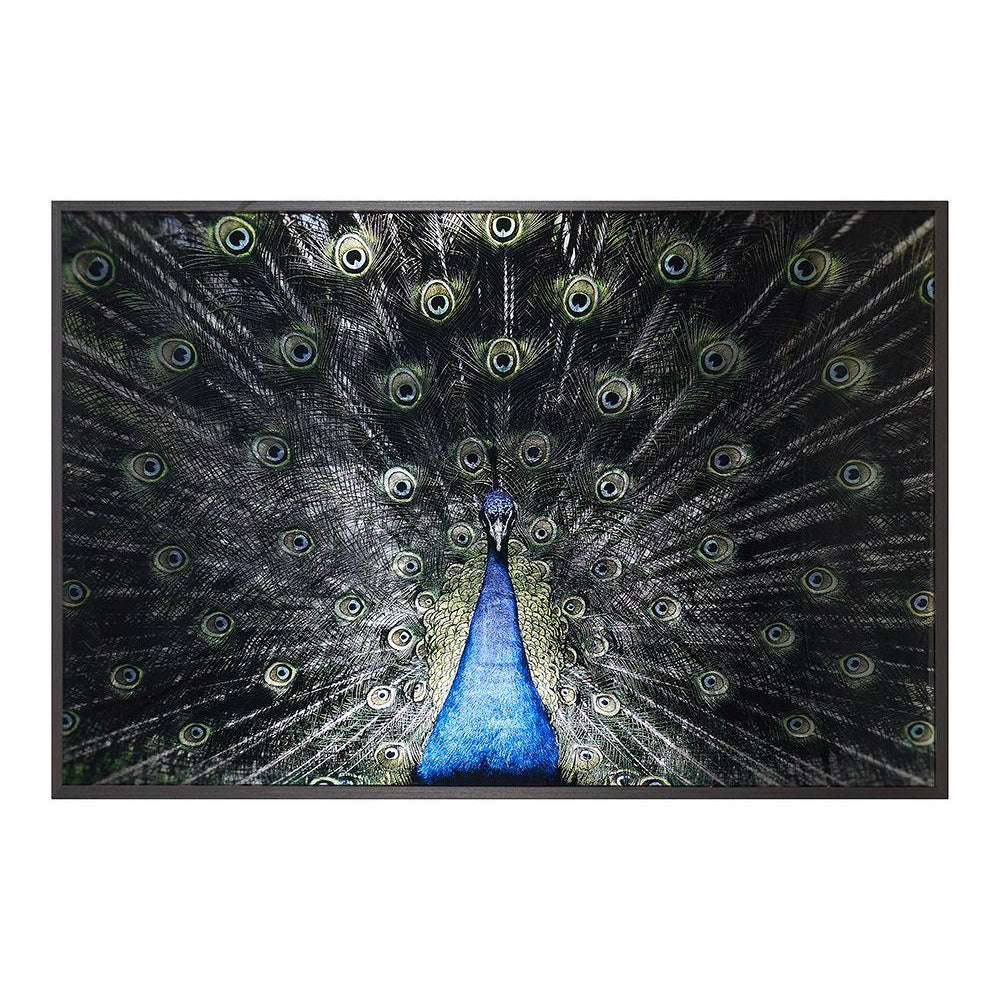 Sunpan, Brilliant Plumage - 72" x 48" - Charcoal Frame