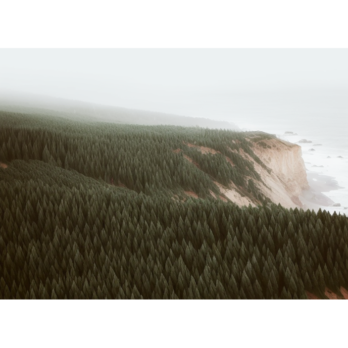 FASart, Clifftop Vista: Green Hills and Ocean