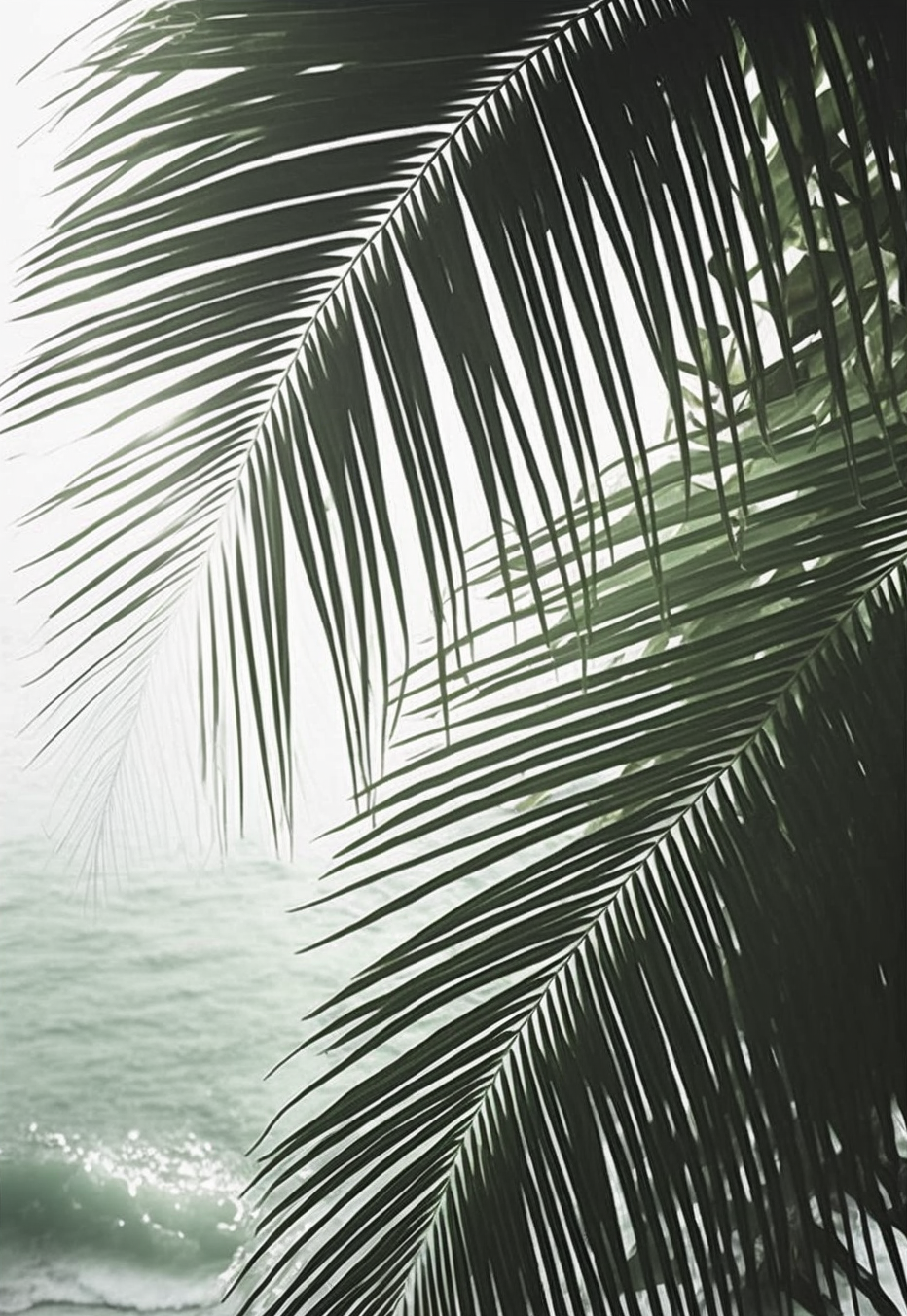 FASart, Coconut Leaves at the Beach